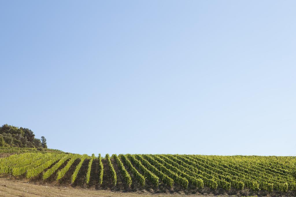 Séjour à la ferme Quercia Al Poggio *