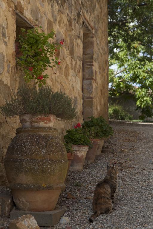 Farm stay Quercia Al Poggio